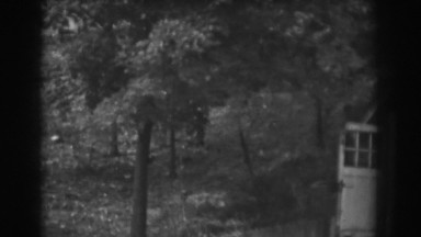1938: leafy fruit trees along the hill by the garage. VINELAND NEW JERSEY