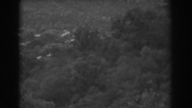 1938: beautiful viewing of nature's trees at rest. VINELAND NEW JERSEY