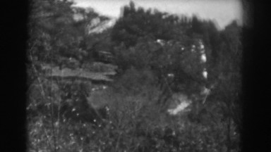 1938: old recovery in pristine nature VINELAND NEW JERSEY