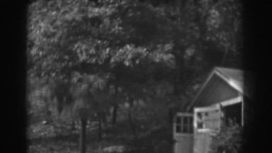 1938: a cabin situated in the woods with slender trees and bushes VINELAND