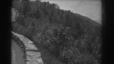 1938: Middle in the Forest and Viewpoint West Virginia