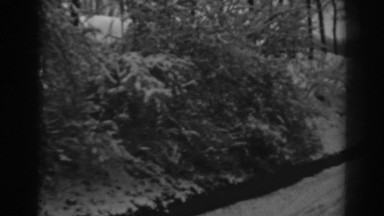 1938: boat in sea WINCHESTER MARYLAND