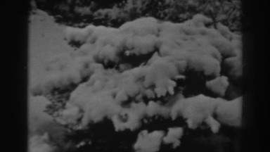 1938: fresh fallen snow in the front yard. WINCHESTER MARYLAND