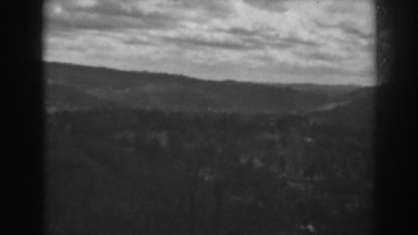 1938: sighting of the trees of nature. WINCHESTER MARYLAND
