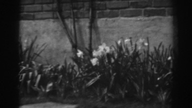 1938: spring in bloom WINCHESTER MARYLAND