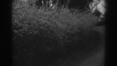 1938: old dirt road path. WINCHESTER MARYLAND