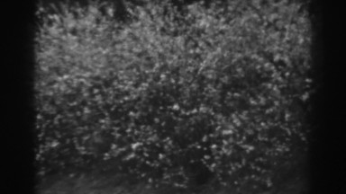 1938: old clips means save nature WINCHESTER MARYLAND