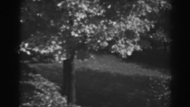 1938: the front lawn on a windy day WINCHESTER MARYLAND