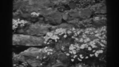 1938: seasons of doom in a blank space WINCHESTER MARYLAND