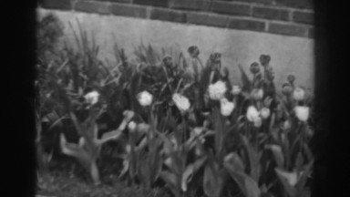 1938: well planted garden with lots of flowers, vintage clip