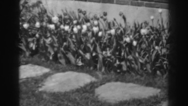 1938: flower garden with a brick wall behind it and a flagstone walk in front.