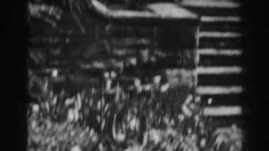 1938: a garden of apple trees, vintage clip