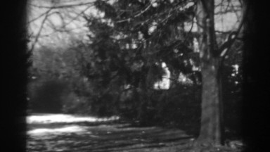 1938: snow kissed trees on acreage. WINCHESTER MARYLAND