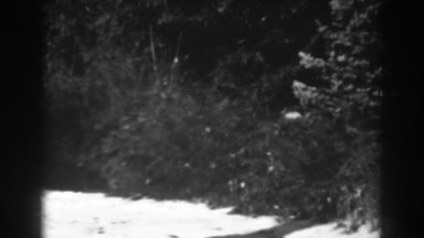 1938: a home right in the middle of the woods. WINCHESTER MARYLAND