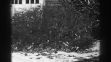 1938: bushes and trees standing near to a house with grounds having snowfall