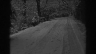 1938: a snowy, tree-lined road through the woods on a cool winter's day