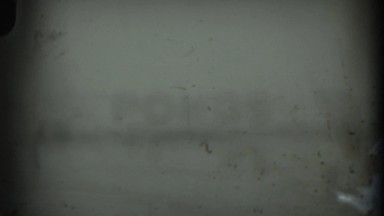 1938: snow covered nature at it's finest. MARTINSBURG WEST VIRGINIA