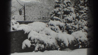 1938: snow-covered trees and bushes at wintertime MARTINSBURG WEST VIRGINIA