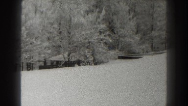 1938: snow has nature covered. MARTINSBURG WEST VIRGINIA