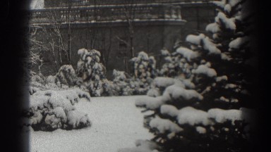 1938: snow covered trees in a backyard MARTINSBURG WEST VIRGINIA