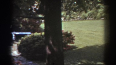 1938: View of a Pretty Yard in West Virginia