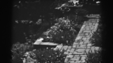1938: unique landmark tiles and pedestal grasses all around