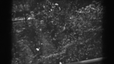 1938: Black & White Film Footage of a Wooded Area Winchester Maryland