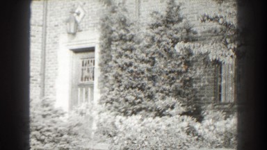1938: pine and deciduous foliage sway in breeze outside a brick building