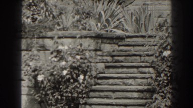 1938: stairs in a garden go up several flights with bushes and flowers growing