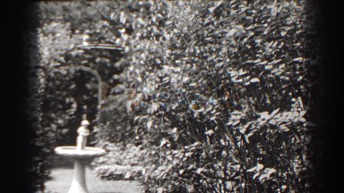 1938: a quiet garden with a stone birdbath at daytime CUMBERLAND MARYLAND