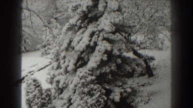 1938: heavy snowfall in the back yard. MARTINSBURG WEST VIRGINIA