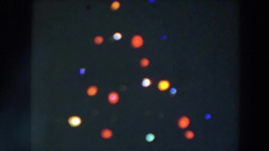 1957: in the dim of the night the only thing that shone was glistening of tree