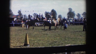 1957: vintage horse show shot on vintage film camera in color. WHEELING OHIO