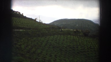 1958: viewing of a beautiful field out in nature. ITALY