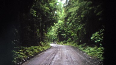 1964: a road to nature CALIFORNIA