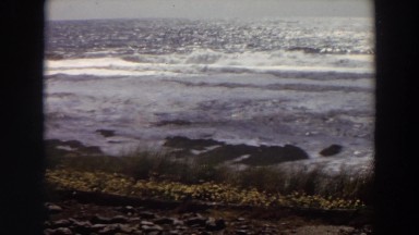 1964: vast sea lying with sparkling water in the sunny daytime