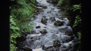 1964: a flowing stream filled with rocks in the forest WASHINGTON