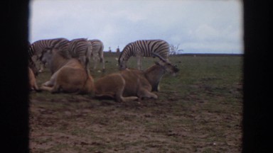 1974: Out on the Plains Irvine California