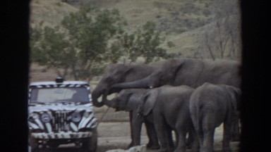 1974: elephants meets humans IRVINE CALIFORNIA