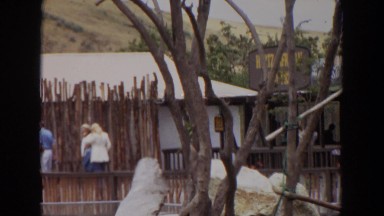 1974: monkeys in a tree watch as groups of people walk past a village