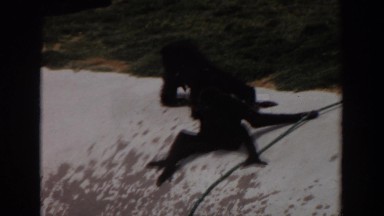 1974: monkeys playing outside. IRVINE CALIFORNIA