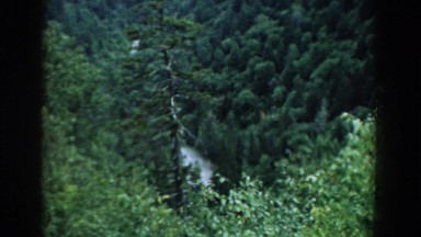 1958: watching nature, forrest and green valley