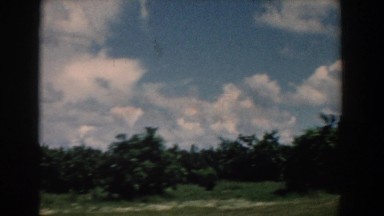 1958: traveling down looking at fields of trees with a cloudy blue sky