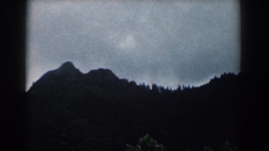 1958: a beautiful scene in the lonely nature. SOUTH CAROLINA