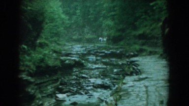 1958: water flowing over the rocks of a creek bed. YORKTOWN VIRGINIA