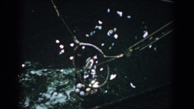 1958: Fishermen Haul Large Catch with Net at Yorktown Virginia Seashore