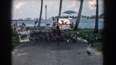 1958: freedom moments with lovely and soft creatures full of happiness and joy