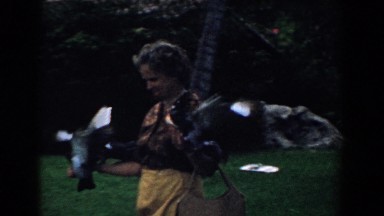 1958: Woman Getting Swarmed by Birds in South Carolina