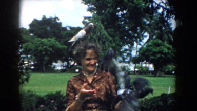 1958: Vintage 8mm Footage of Pigeons Flocking to an Elderly Woman in South Carolina Park