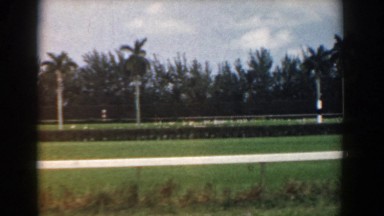 1958: Fountain in Garden South Carolina